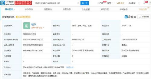吉利新成立8家公司，技術推廣服務成核心戰略
